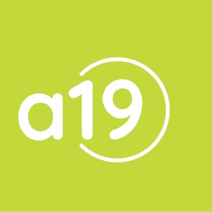 a19 logo